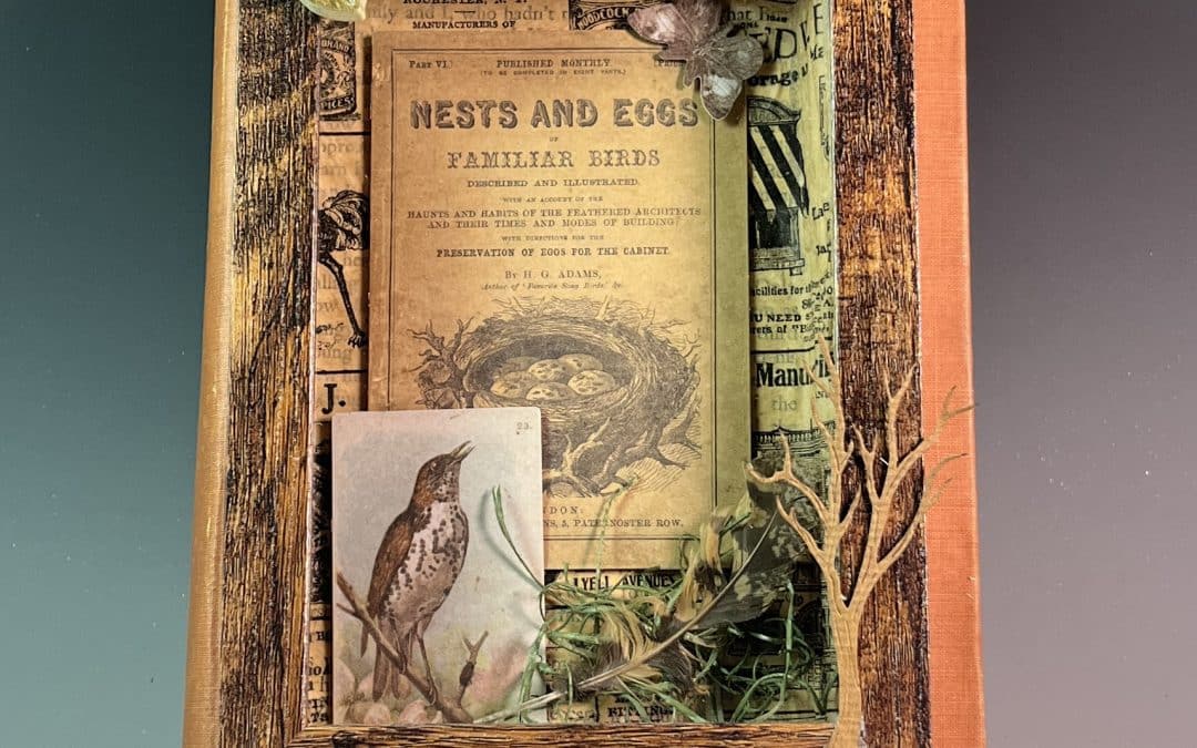 Assemblage Shadow Book Workshop